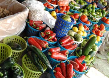 Lakeland Mi Pueblo 02