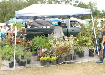 Lakeland Mi Pueblo 04