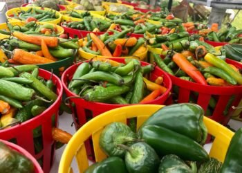 21992757_150153112251707_2000049797273274070_o