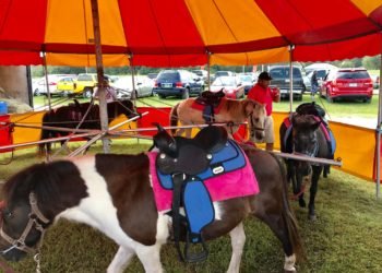 Lakelando Mi Pueblo Flea Market