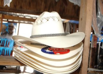 22218383_152600478673637_5962449390023561999_o