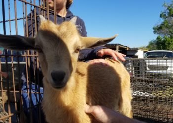 28516684_197658004167884_2208211100488474535_o