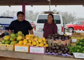 51600634_353366138597069_7879465100510232576_n