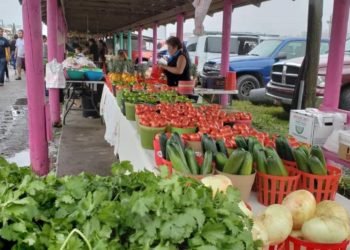 51620216_353366121930404_7626502289963876352_o