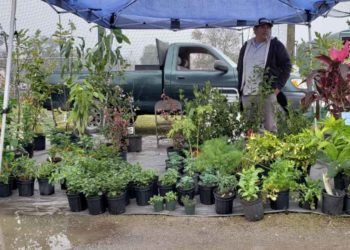 51701486_351231905477159_4067424468438351872_o