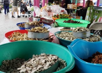 51785933_353366255263724_6671457367567106048_o