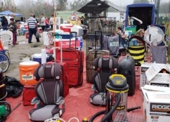 51934323_353366018597081_5718474050947252224_n